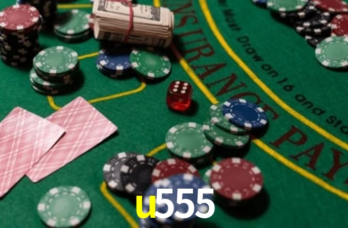 u555 App Interface
